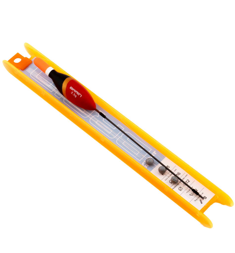 Brain Magister 5pcs