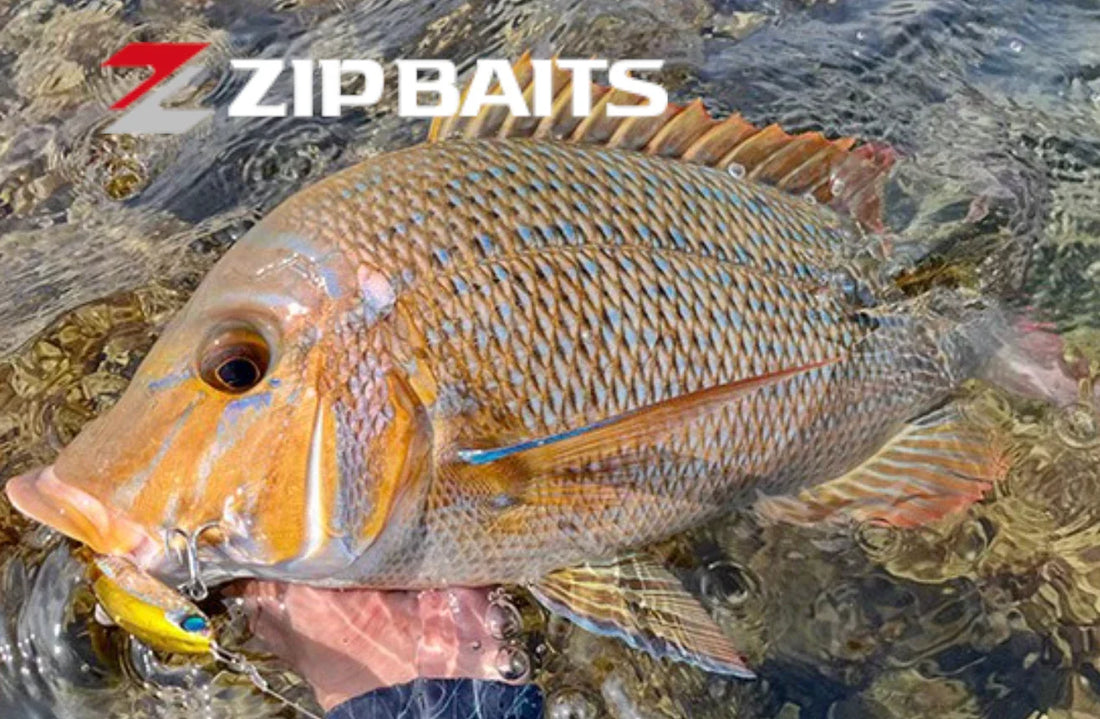 ZipBaits: History, Philosophy, and Premium Strategy for B2B Partners
