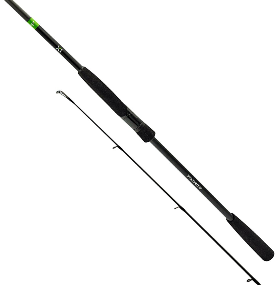 Favorite (PL Special) X1 Big River X1.1-1002M 3.00m 4-25g Mod.Fast