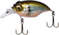 Megabass Griffon Bait Finesse SR-X F 38mm 5.25g Wagin Oikawa