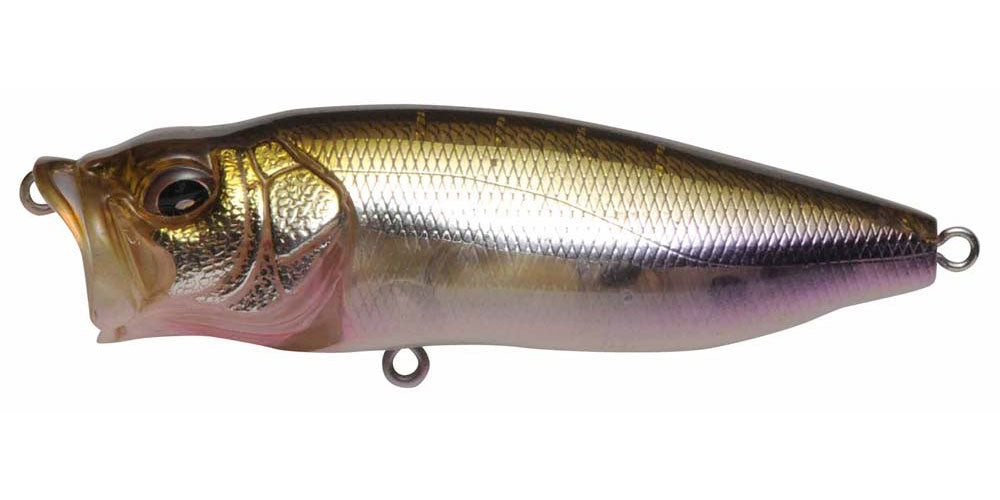 Megabass PopMax F 78mm 14.0g HT Ito Wakasagi
