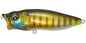 Megabass PopMax F 78mm 14.0g PM Wild Gill