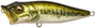 Megabass PopMax F 78mm 14.0g GG Bass