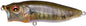 Megabass PopMax F 78mm 14.0g FA Gill