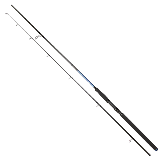 Golden Catch Rod Passion Power 2.40- 3.00 m / 40-180g