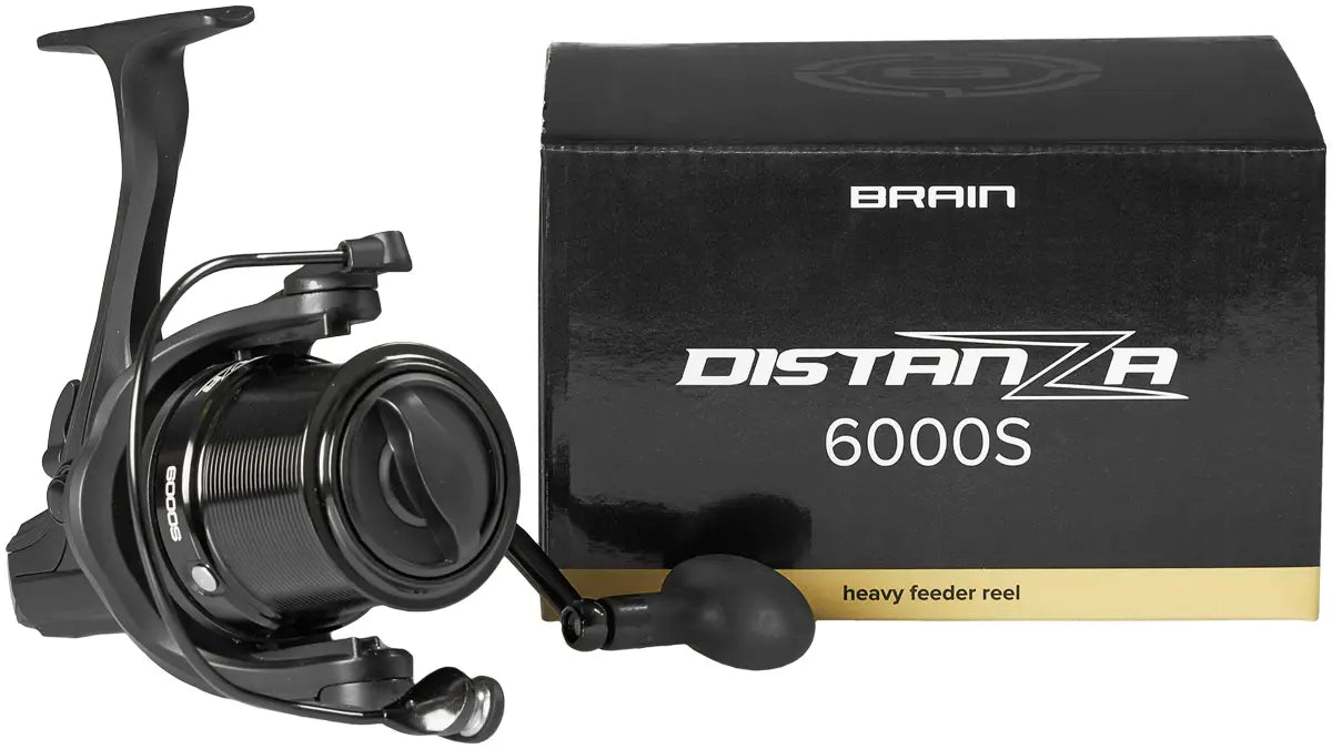 Reel Brain Distanza