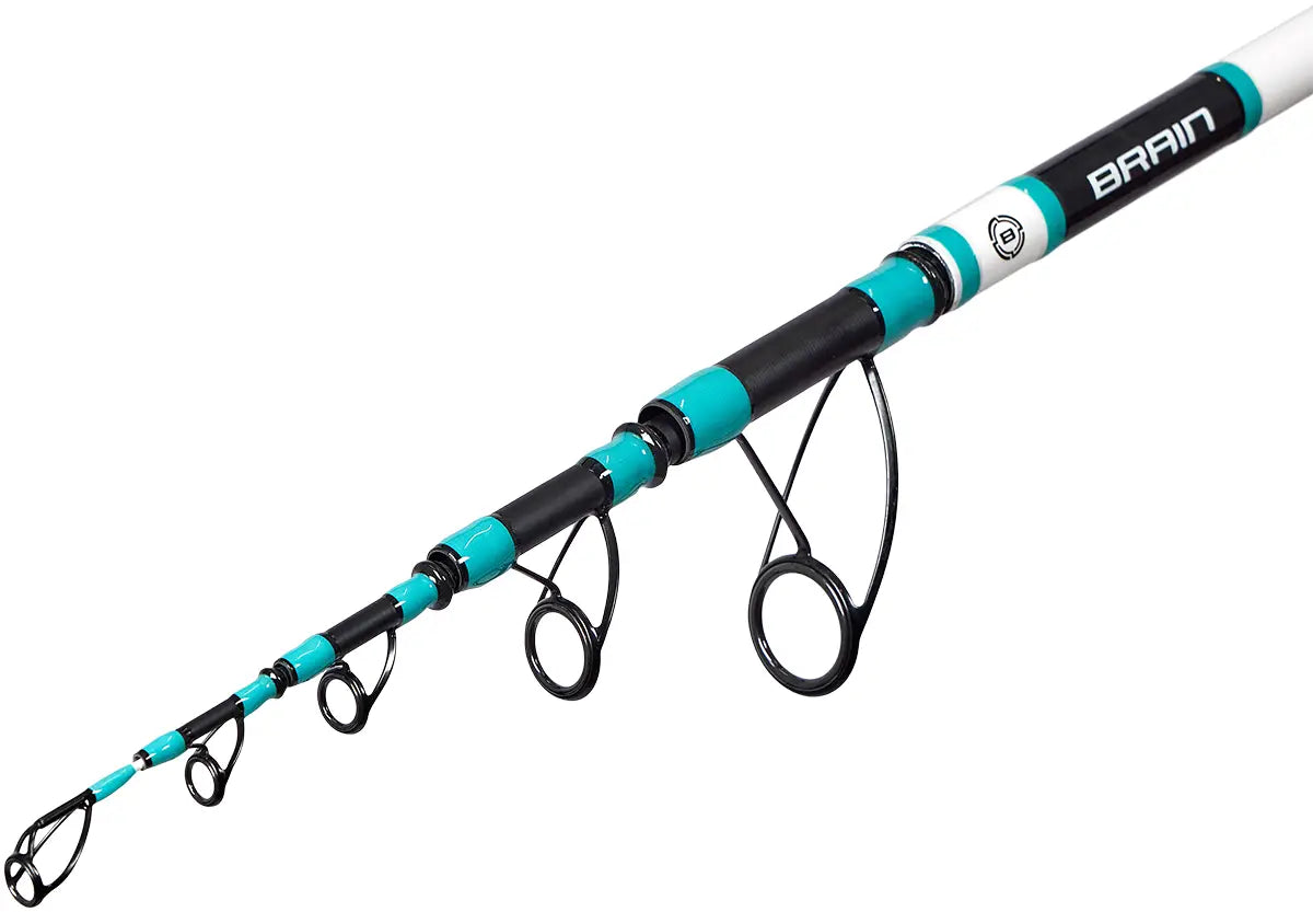 Tele Surf Rod Brain Axent Surf 4.20m max 200g (18585164)